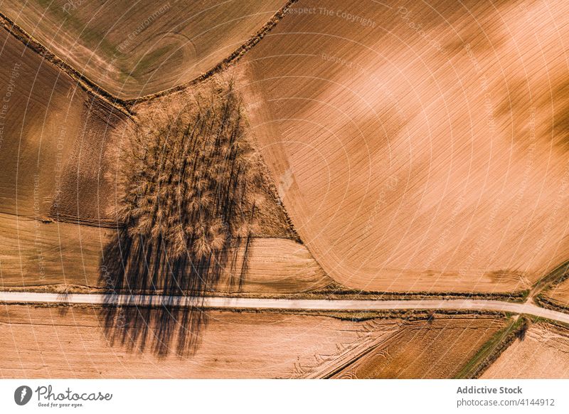 Roadway among brown agricultural fields road agriculture rural roadway countryside nature landscape environment route farmland highway path terrain straight