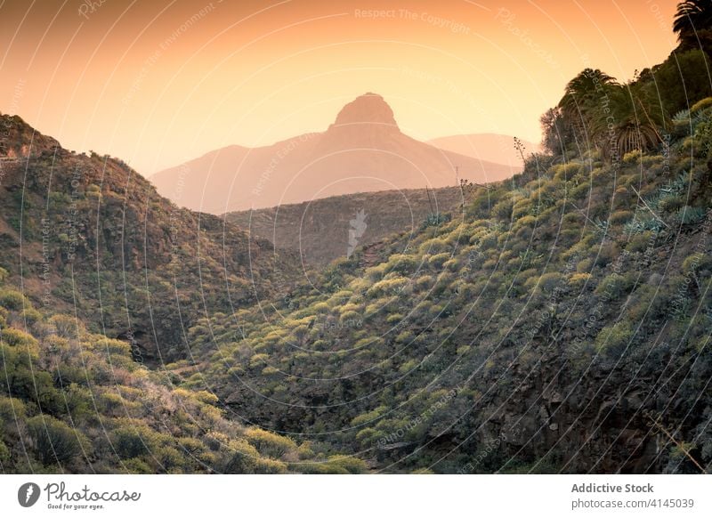 Amazing green valley in mountainous terrain breathtaking scenery forest sunset landscape nature picturesque evening orange gran canaria spain travel vivid