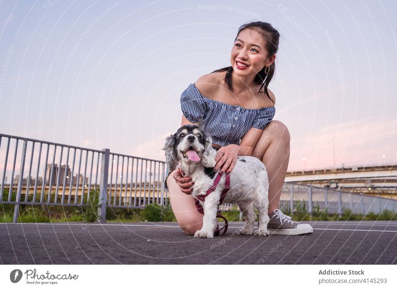 Asian woman cuddling purebred dog on road american cocker spaniel squat leash pet car city asphalt parking lot friend canine companion summer obedient breed