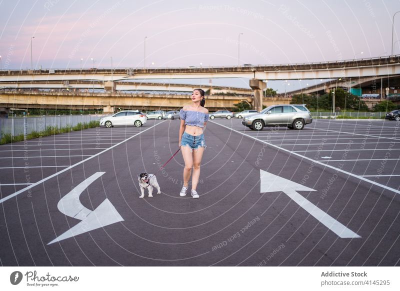 Dreamy Asian woman strolling with purebred dog on road american cocker spaniel leash pet car city asphalt parking lot friend canine walk companion summer