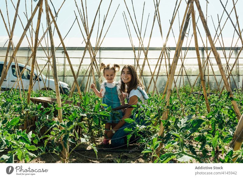 Happy mother embracing daughter near green tomato bushes in summer embrace horticulture bonding affection enjoy countryside gardening wooden stick pleasure