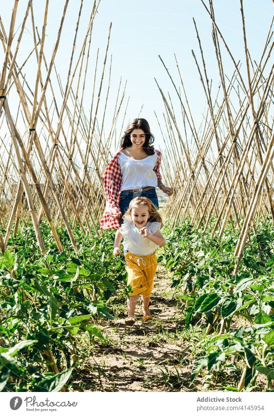 Happy mother and daughter playing catch up near tomato shrubs girl run having fun entertain activity carefree bush horticulture wooden stick countryside