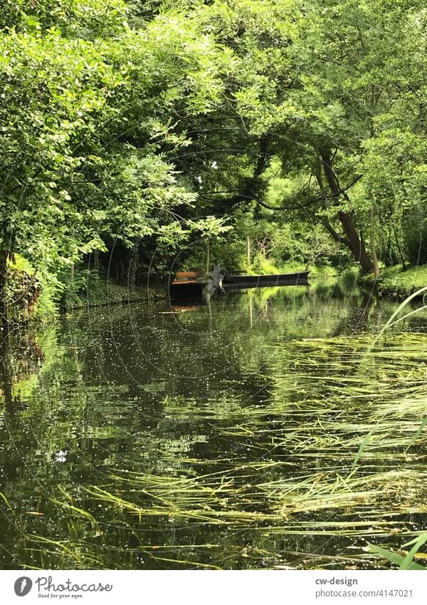 Boat trip in the Spreewald Canoe Rafts River Water Exterior shot Deserted Reflection Nature Tree Landscape Colour photo River bank Plant Environment