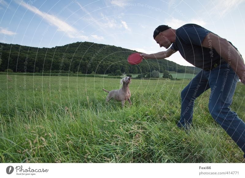 well-coordinated team Fitness Sports Training Hunting Frisbee Masculine Friendship Body 1 Human being Landscape Sky Clouds Summer Grass Meadow Animal Pet Dog