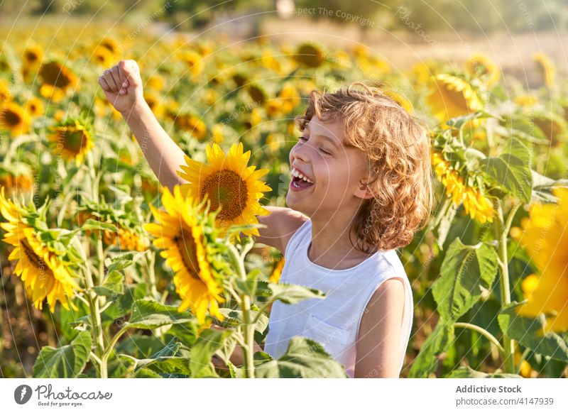 Cute child in blooming sunflower field boy enjoy summer meadow blossom preteen nature happy smile excited countryside cheerful green yellow color kid vivid