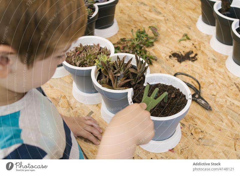 Anonymous boy with gardening fork prepare soil for plant in pot loosen horticulture cultivate cacti hedge harmony lush green grower tool child hobby trowel