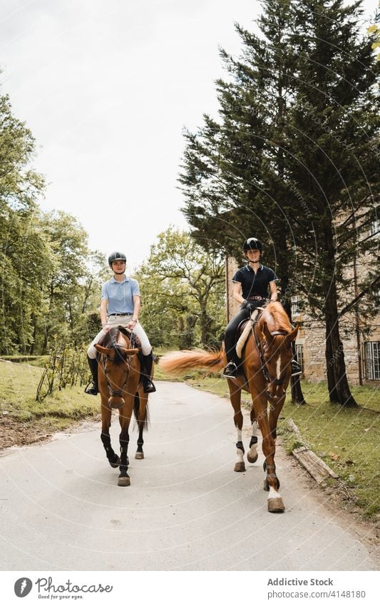 Female horsewomen riding horses along road ride equestrian horseback together jockey rider dressage chestnut animal equine owner pet mammal pave path sit saddle