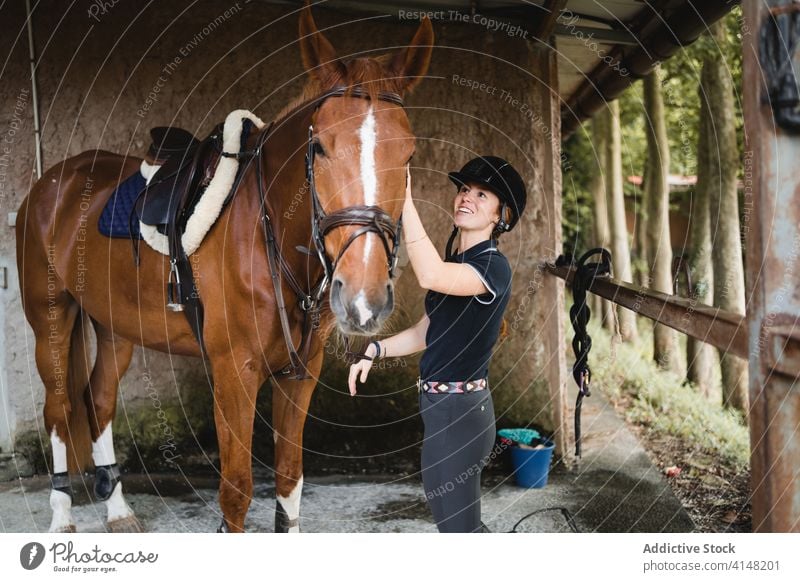 Female jockey putting bridle on horse woman stable prepare put on equestrian animal busy female rider tool equipment reins equine young concentrate serious