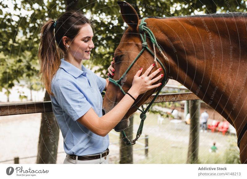 Female jockey putting bridle on horse woman stable prepare put on equestrian animal busy female rider tool equipment reins equine young concentrate serious