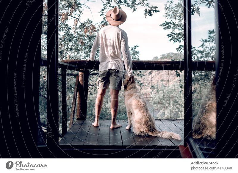 Tranquil man with dog in tree house forest travel admire scenery together animal male balcony friendly spectacular relax pet holiday trip landscape nature guy