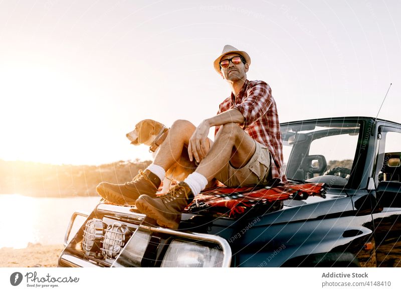 Tourist with Hovawart enjoying nature sitting on car in sunlight tourist dog admire river mountain vacation beauty idyllic contemplate highland travel