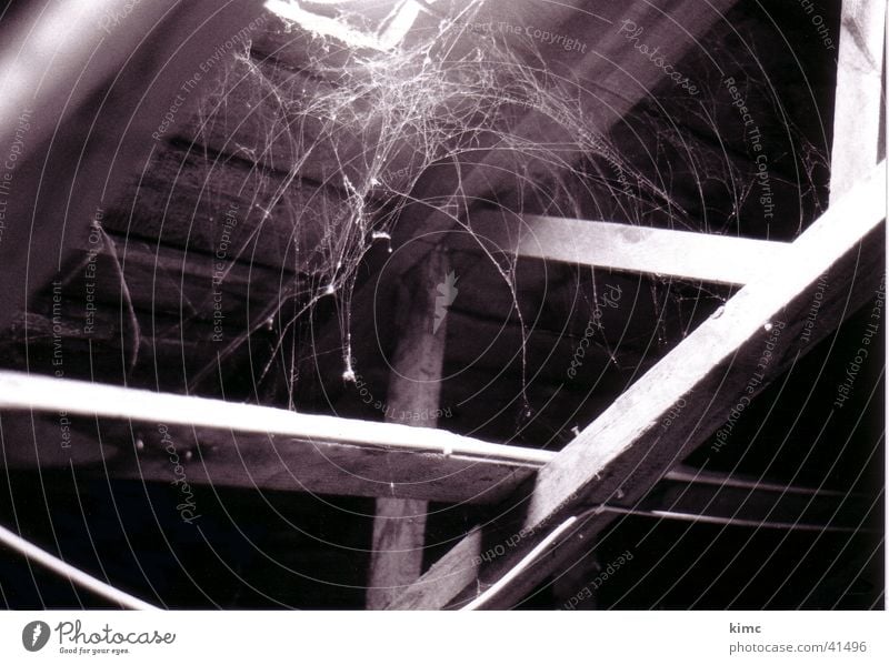 cobwebs Spider's web Attic Light Dust Hatch Black & white photo