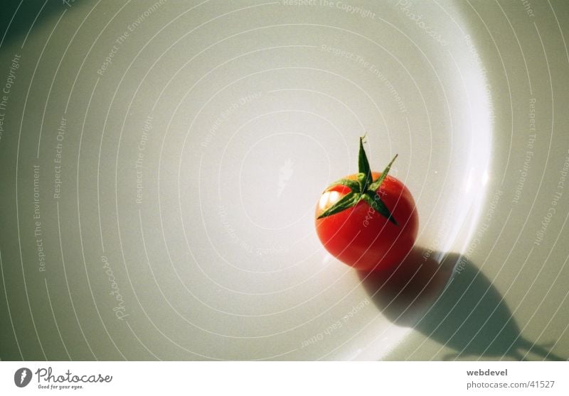 small_tomato Reddish white Still Life Nutrition Tomato Loneliness Point Close-up