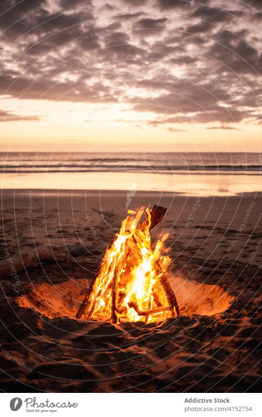 Bonfire on sandy shore during sunset campfire beach bonfire cozy sea peaceful scenery coast evening calm sundown sky nature dusk landscape seascape scenic