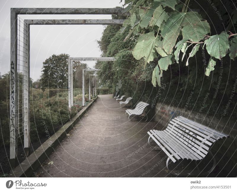 pergola Park bench Bench Forest trees Exterior shot Colour photo Relaxation Day Deserted Shadow Evening Structures and shapes Appealing Leaf Idyll Calm Barrier