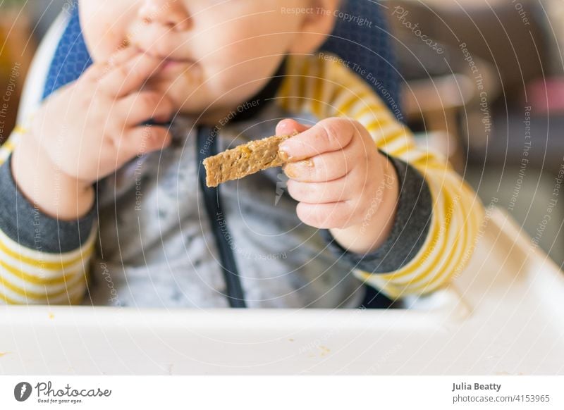 Toddler trying wheat toast with peanut butter; exposure to allergenic foods baby led weaning toddler 6-12 months old finger food bread nuts allergy pincer grasp