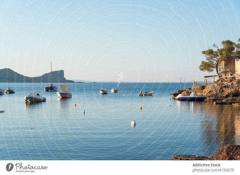 Amazing view of sea with moored boats cove scenery rocky landscape seascape shore blue sky sa caleta ibiza spain beach tree picturesque water coast idyllic old