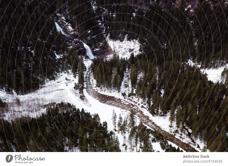 Frozen river in forest in winter frozen woods coniferous snow wintertime landscape evergreen germany austria amazing frost scenic scenery season tree