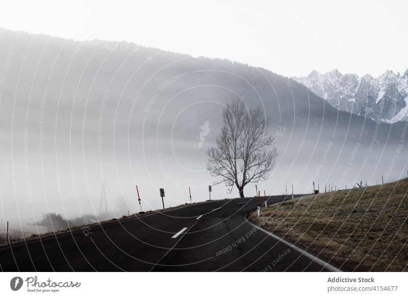 Lonely tree in foggy terrain against mountains gloomy mist lonely road landscape minimal gray cold leafless nature environment silent haze weather season