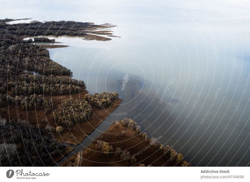 Autumn landscape with lake and forest shore autumn mist fall coast nature aerial water tranquil calm scenic season environment peaceful lakeside serene travel