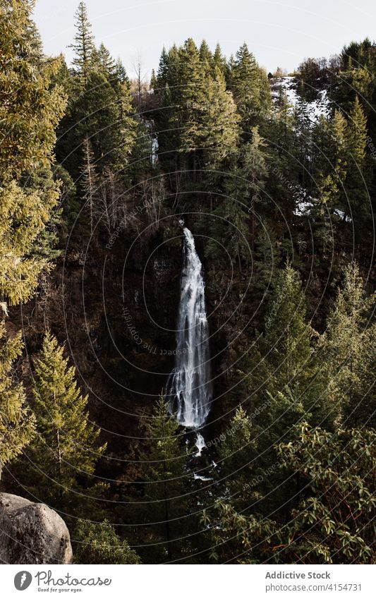 Mountain against waterfall in forest traveler leg coniferous mountain green nature hike wild usa united states america journey tourism trekking environment