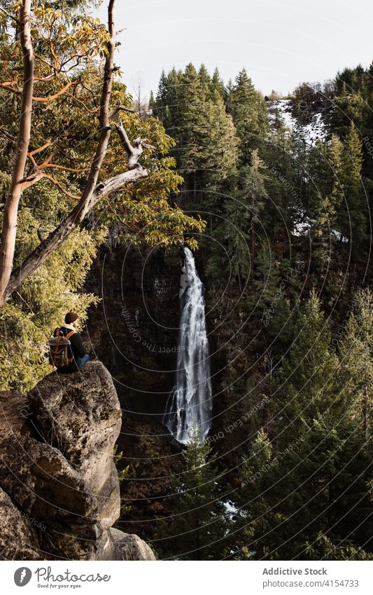 Mountain against waterfall in forest traveler leg coniferous mountain green nature hike wild usa united states america journey tourism trekking environment