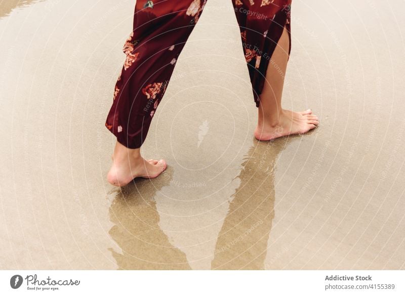 Close-up of a woman's bare feet on the seashore sand summer beach female vacation girl beautiful barefoot holiday water nature relax ocean people leisure person