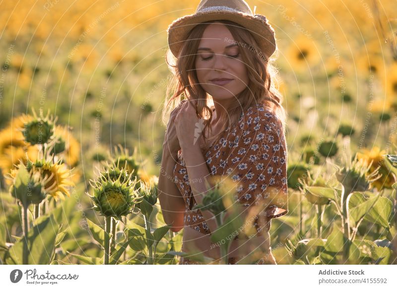 Young woman having fun in sunflower field summer happy enjoy freedom carefree bloom nature harmony cheerful young female hat countryside blossom meadow season