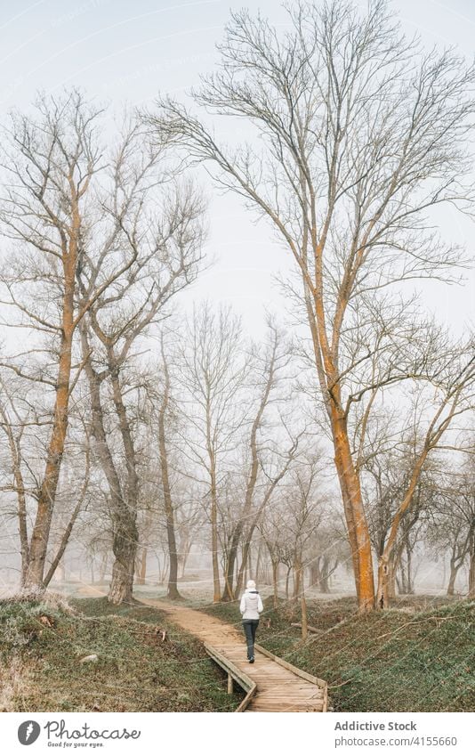 Unrecognizable woman walking on foggy road in countryside alley mist forest cold alone gloomy path female hike nature autumn winter season adventure travel tree