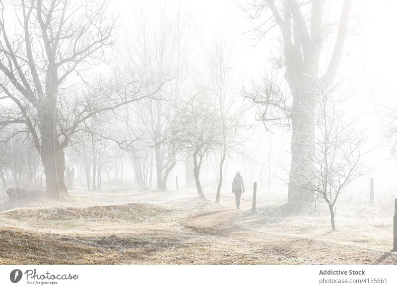 Unrecognizable woman walking on foggy road in countryside alley mist forest cold alone gloomy path female hike nature autumn winter season adventure travel tree