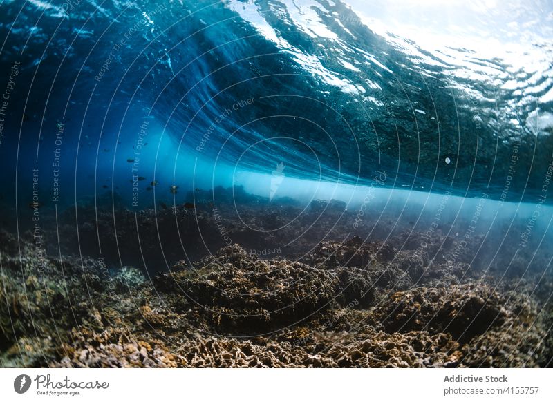 Underwater view of wave ocean power sea nature landscape blue seascape coast surf tropical crest summer splash white foam seashore surface storm wet spray