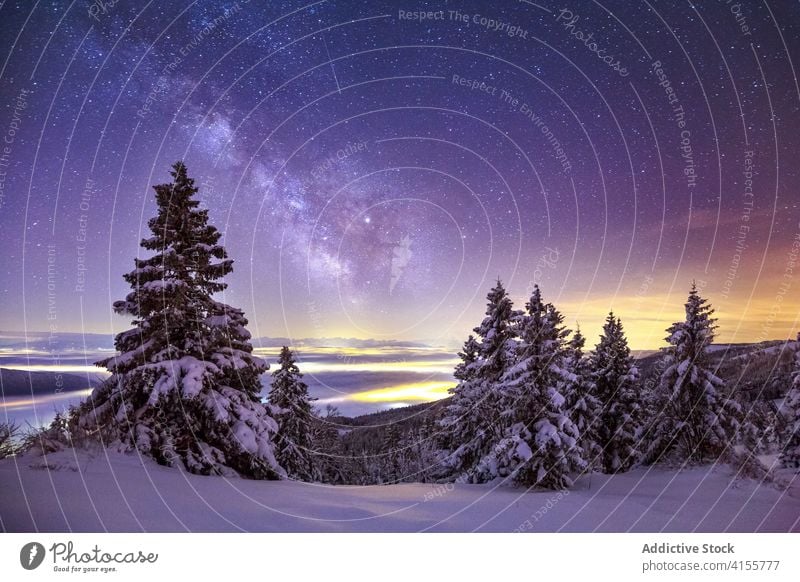 Polar lights over snowy winter forest polar light sky milky way northern coniferous nature mountain landscape wintertime scenic tree glow season travel tourism