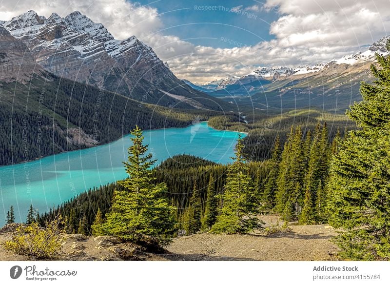 Picturesque lake surrounded by mountains and forest landscape picturesque reflection colorful nature environment wild canada duffey lake provincial park