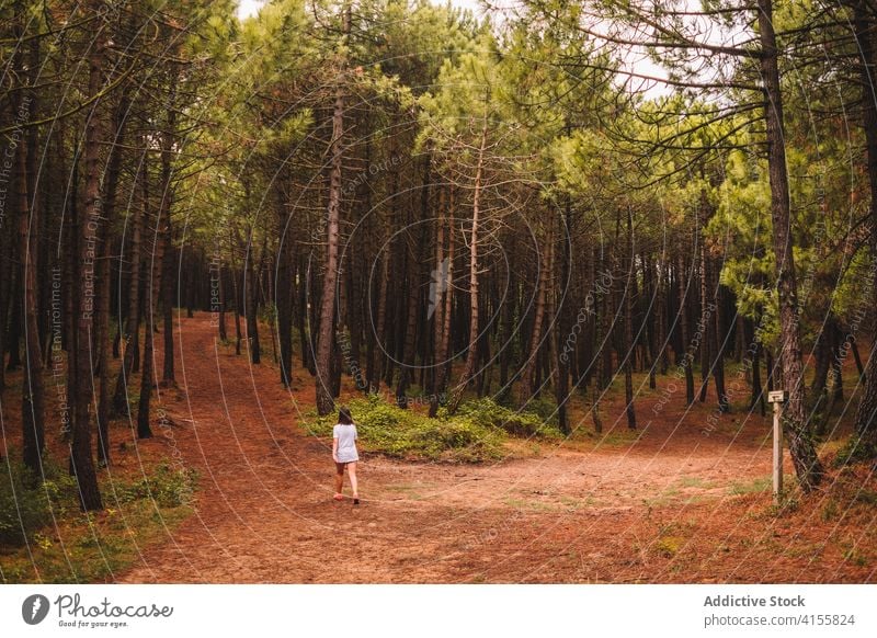 Woman walking on footpath in woods forest trail woman pathway nature stroll coniferous summer landscape tree environment woodland alone lonely adventure travel