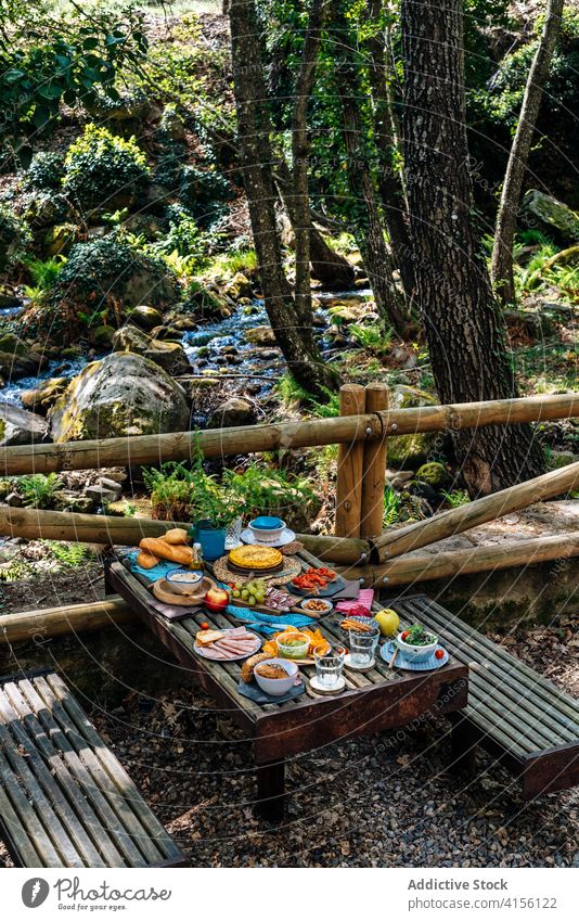 Table with various food for picnic in forest table assorted dish serve woods tasty valle del jerte caceres spain cozy meal holiday nature summer gourmet natural