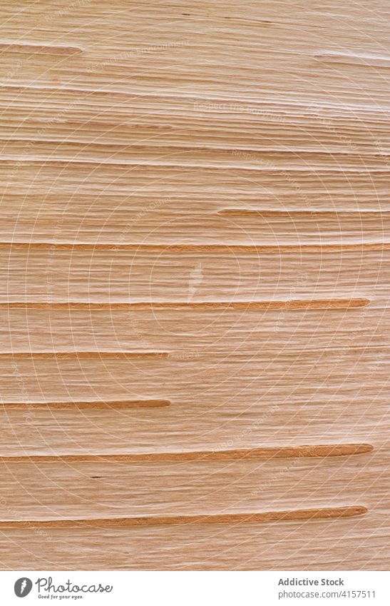 Close up of Birch Bark Background Betula Betula albosinensis Chinese red birch background bark birch bark brown close-up closeup lines macro nature orange