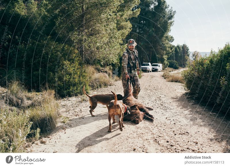 Male hunter with prey in countryside trophy dead animal man drag pull camouflage male wild boar creature specie vehicle auto mammal wildlife happy fauna smile