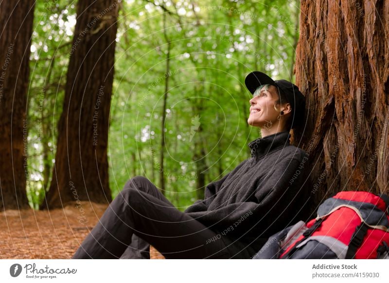 Relaxed traveler near tree in woods huge forest relax explorer backpack trekking natural monument of sequoias cantabria spain hike vacation trip nature journey