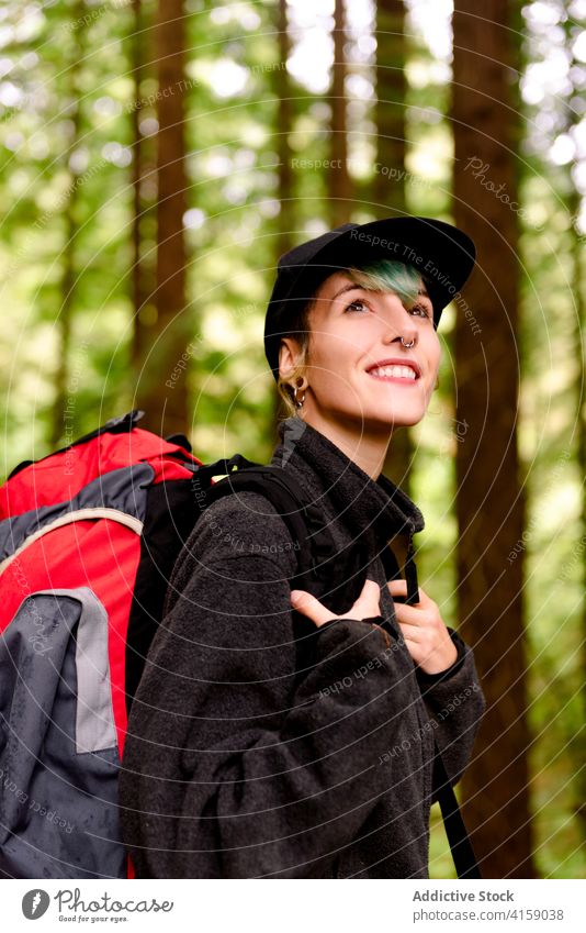 Delighted traveler in green woods forest tree woman big sequoia amazing scenery natural female natural monument of sequoias cantabria spain tourist backpack