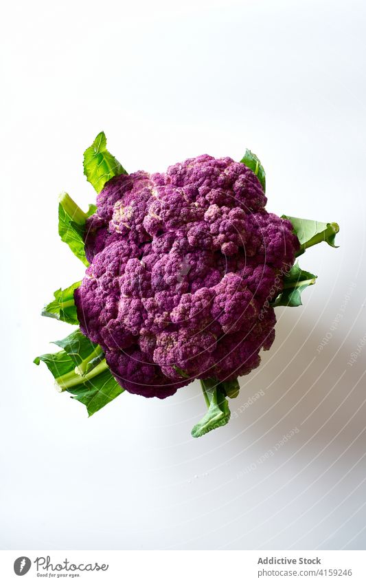 Purple cauliflower purple vegetable food healthy organic fresh vegetarian cabbage green raw natural plant ingredient nutrition leaf nature vegan cooking