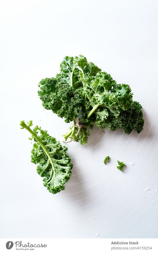 Fresh organic green kale vegetable fresh plant healthy food agriculture cabbage leaf raw curly ingredient salad nobody leafy natural horizontal leaf vegetable