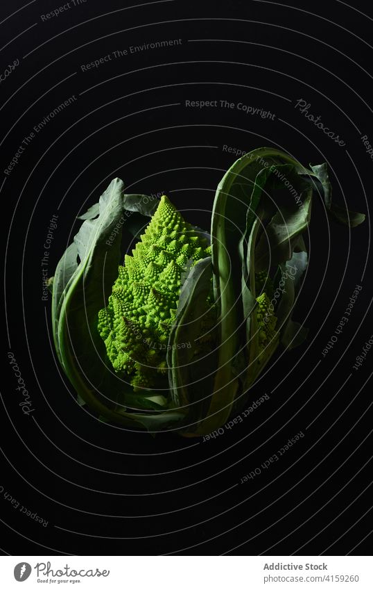 Romanesco broccoli cabbage cauliflower romanesco food fibonacci vegetables indoors white still life minimal closeup green healthy vegetarian raw ingredient diet