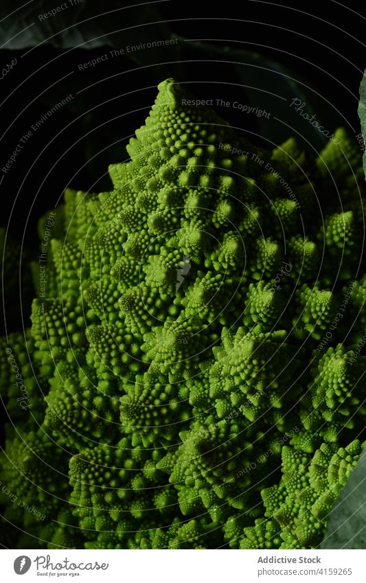 Romanesco broccoli cabbage cauliflower romanesco food fibonacci vegetables indoors white still life minimal closeup green healthy vegetarian raw ingredient diet