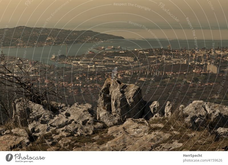 View from Monte Stena to the Gulf of Trieste Vantage point vantage point farsightedness far vision Hiking Rock sea view industrial harbour Bay Italy Landscape