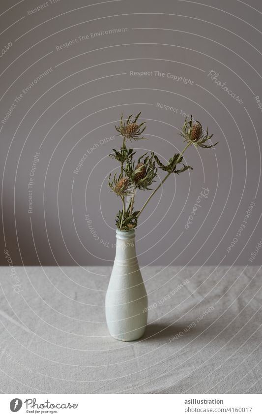 Thistles in vase on dining table Thistle blossom Dried flower Shriveled Dinner table Flower vase Gray Thorny Plant dead Gloomy melancholically sad melancholy