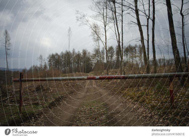 Barrier at a forest road to a deforested forest after an infestation by bark beetles tree trunks Logging Destruction Forest death Environmental protection