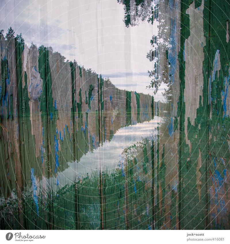 double mated with wood at the carp pond Landscape Sky Clouds Forest Middle Franconia Horizon Irritation Wooden board Weathered Double exposure Ravages of time