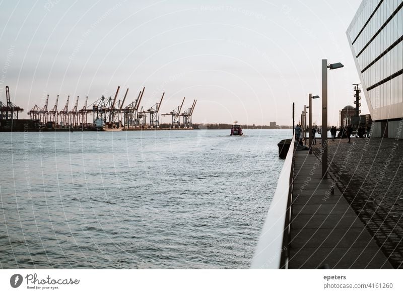 Harbour cranes, a ferry and parts of the Dockland Office Building dockland Hamburg Port of Hamburg pastel Water Elbe River Germany Ferry Sunset Exterior shot