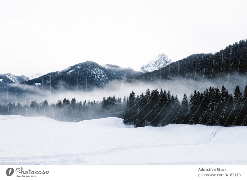 Snowstorm in mountainous terrain with forest winter snowfall snowstorm cold severe rough landscape wild woods valley blizzard hill nature scenery frozen season