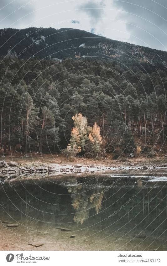 Reflections in the lake nature outdoor outdoors explore landscape travel water sky reflection beautiful scenic view scenery green forest natural beauty